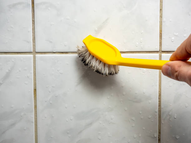 Best Residential Mold Remediation in Memphis, MO