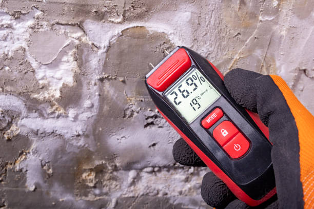 Memphis, MO Mold Remediation Company