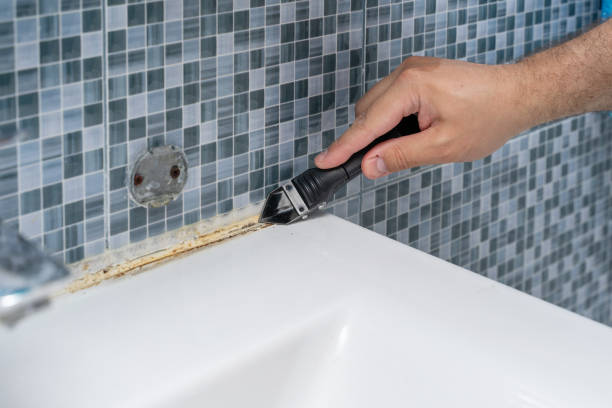 Best Black Mold Remediation in Memphis, MO